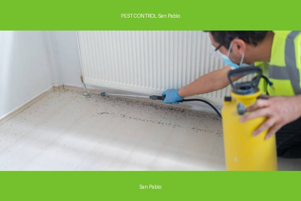 PEST CONTROL San Pablo